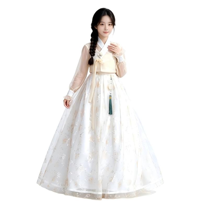 Modern Korean Hanbok for Women - Hanbok Modern Set review and price
